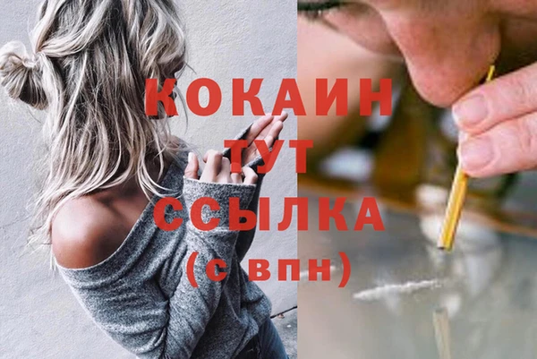 индика Воткинск