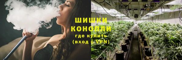спайс Богданович