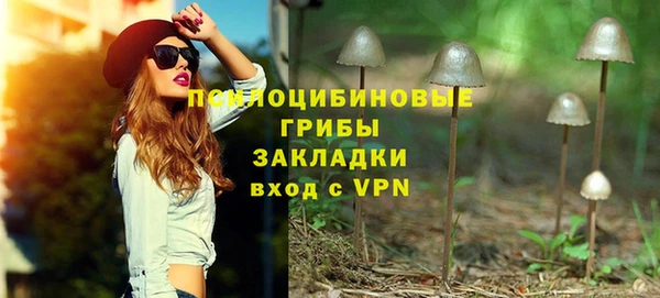 эйфоретик Белокуриха