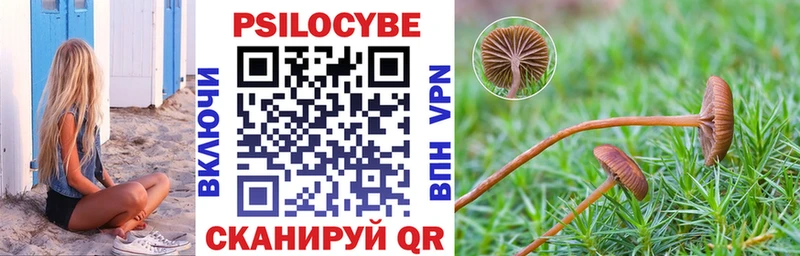 Галлюциногенные грибы Psilocybe  площадка Telegram  Дигора 